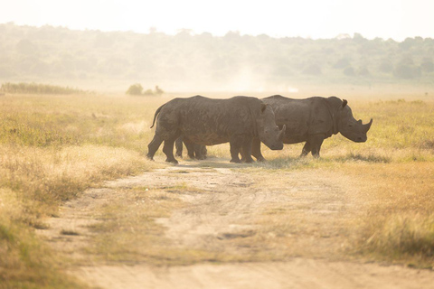 Visit Akagera national park with Passionate Guide