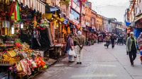 Jungle Ride & Haridwar City Tour desde Scooter desde Rishikesh - Housity