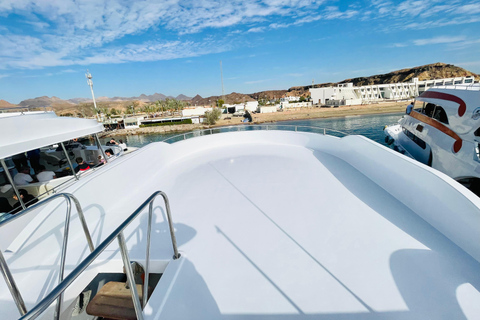 Sharm El Sheikh: Private Boat Trip Snorkeling & Diving