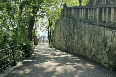 Shanghai: Sheshan Hill Private Tour with Hotel Pickup