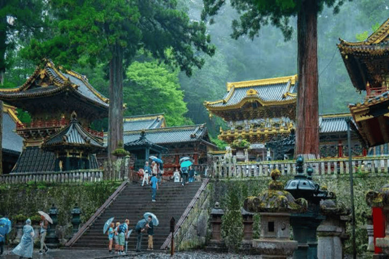 Visite touristique de Nikko en charter privé avec guideDepuis Tokyo : Nikko visite privée d'une journée