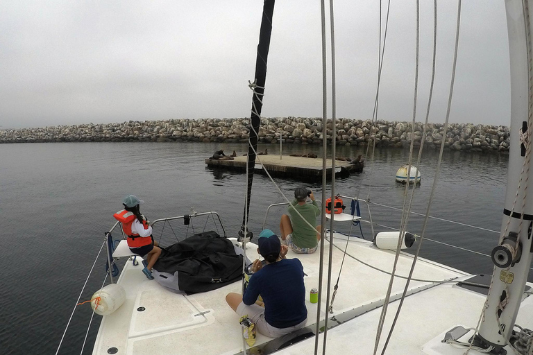 Marina Del Rey: 2 uur privé catamarantour door de jachthaven