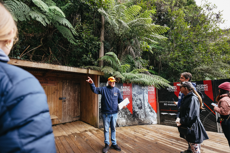 Depuis Sydney : montagnes Bleues et Scenic WorldPrise en charge 132 Castlereagh St, Sydney - 6h55