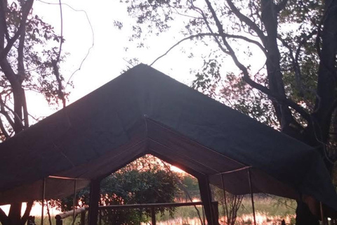 Shakawe: safari de 3 días por el este del OkavangoShakawe: Safari de 3 días por el este del Okavango