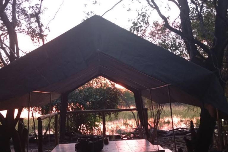 Shakawe: safari de 3 días por el este del OkavangoShakawe: Safari de 3 días por el este del Okavango