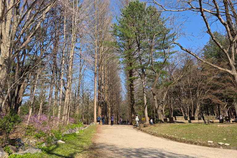 Seoul: Hallyu Nami Island Day Trip with romantic Train