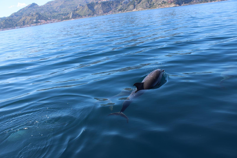 Taormina: Sunset Dolphin Tour by Catamaran with Aperitif