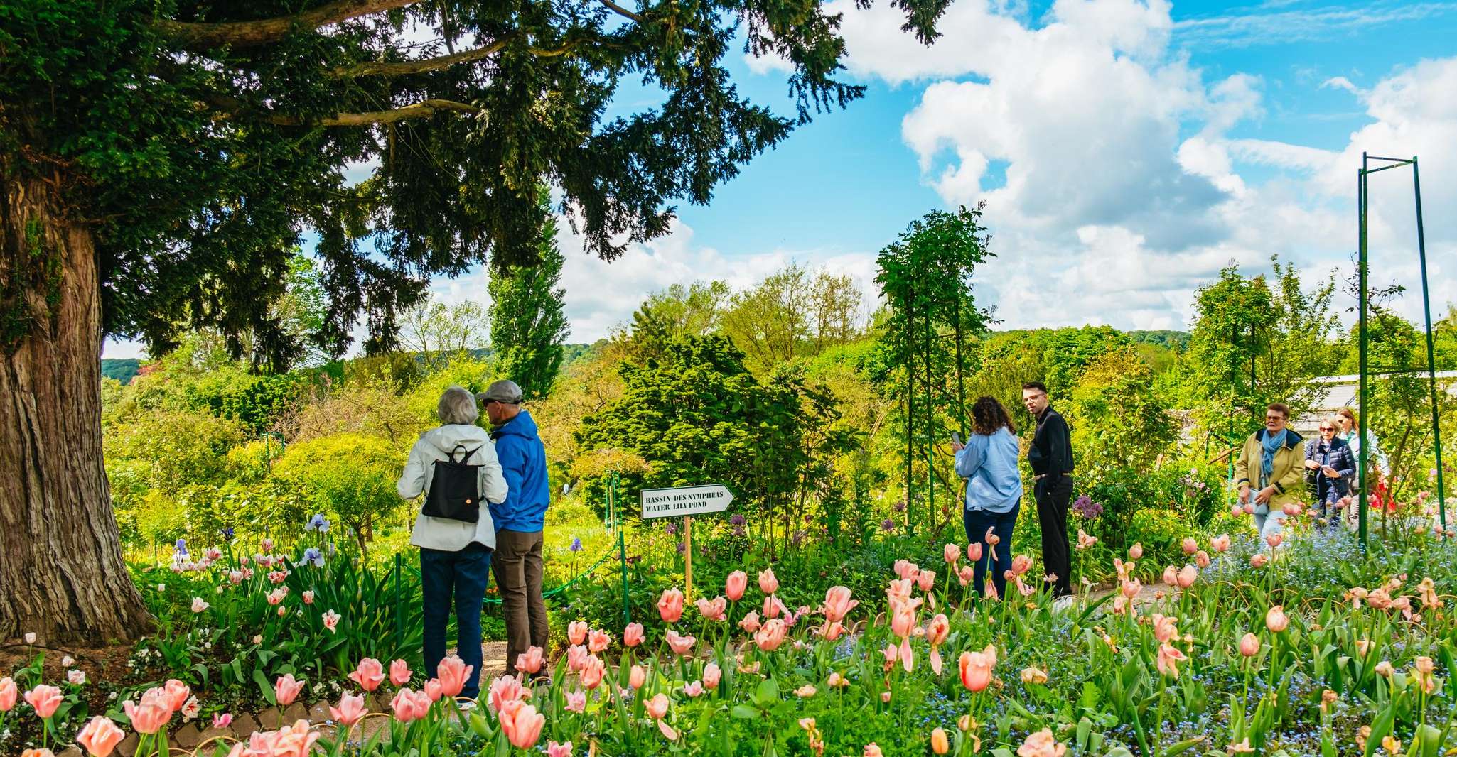 From Paris: Giverny, Monet’s Home & Gardens Half-Day Trip photo 2