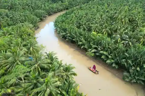 Ciudad Ho Chi Minh: Excursión de un día al Delta del Mekong con comida y bebida