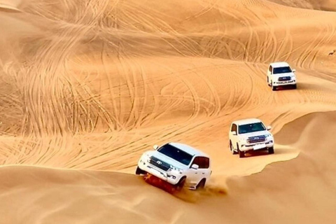 Qatar Gold Dune Safari,Camel Ride, Sand Boarding, Inland Sea Private Tour ,Camel Ride, Sand Boarding, Inland Sea
