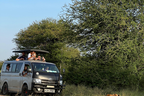 Safari im Nairobi-Nationalpark mit Abholung und RücktransportSafari, Sheldrick&#039;s &amp; Giraffe Center: Private Option