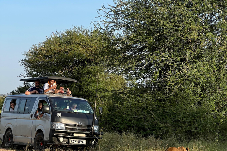 Safari im Nairobi-Nationalpark mit Abholung und RücktransportSafari, Sheldrick&#039;s &amp; Giraffe Center: Private Option