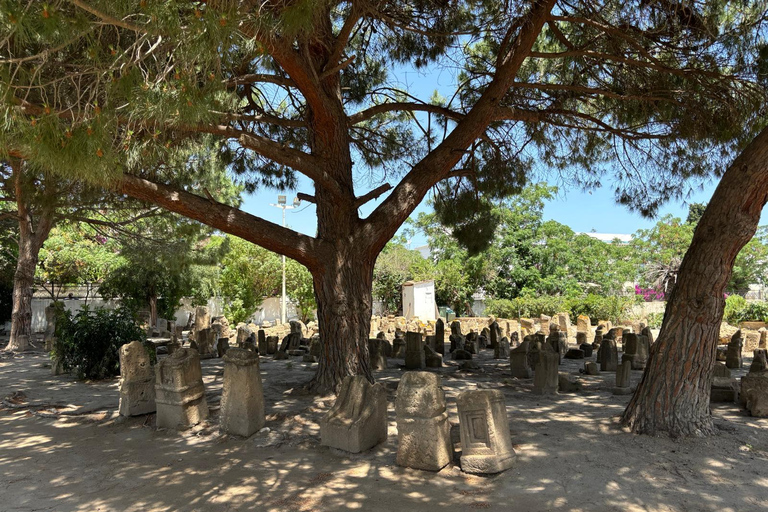 Private Day medina of Tunis Carthage Sidi Bousaid with lunch