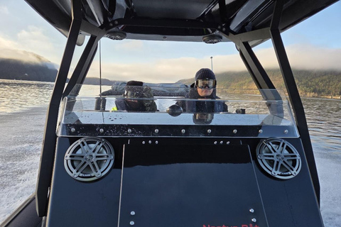 卑尔根：乘坐高级 RIB 船探索莫斯特罗门峡湾卑尔根：乘坐高级 RIB 船游览莫斯特罗门峡湾