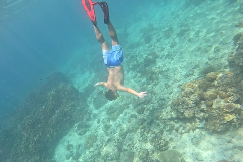 Coron: Dugong Watching Tour with Snorkeling