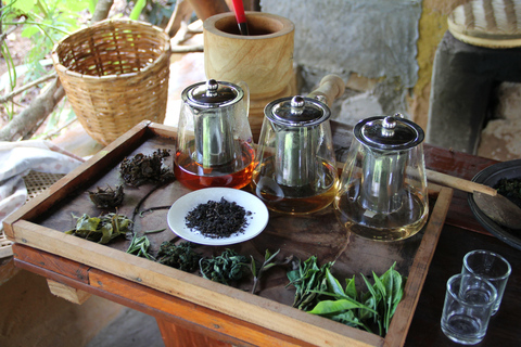 ELLA : Tea-Making Experience Tour with Tasting and Snacks