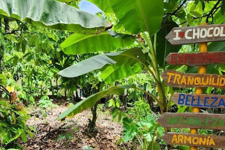 Puerto Plata: City Tour, Plantation, and Chocolate Factory