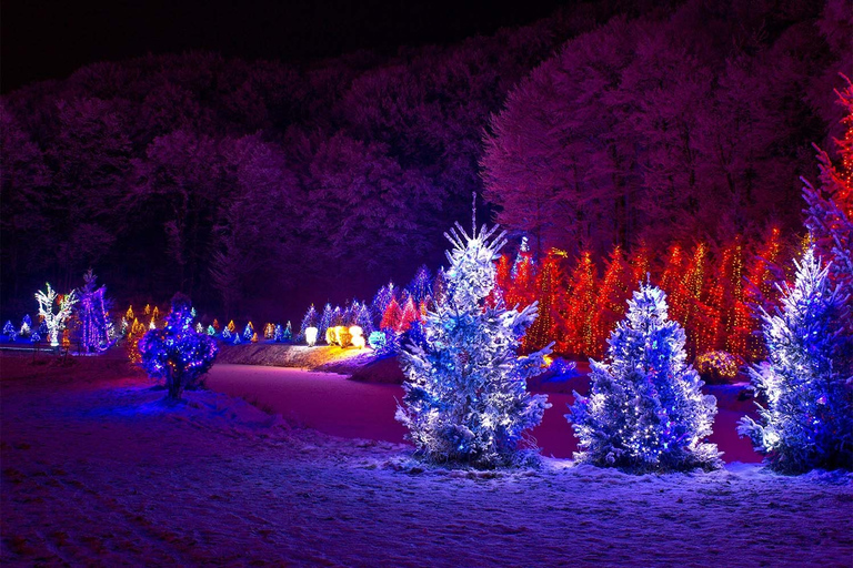 Washington, DC: Winter City Lights Experience