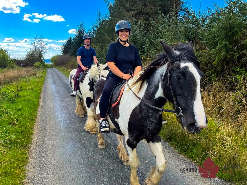 Cape Town Horse Riding Experience GetYourGuide