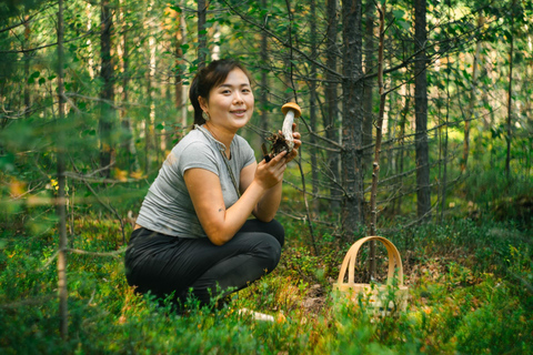 Rovaniemi: Arctic Wild Berry & Mushroom Foraging and Tasting
