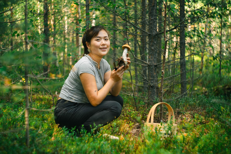 Rovaniemi: Arctic Wild Berry & Mushroom Foraging and Tasting