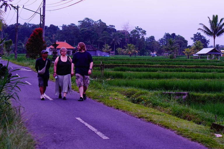 Bali: Magical Night Firefly Tour & Authentic Culture insight