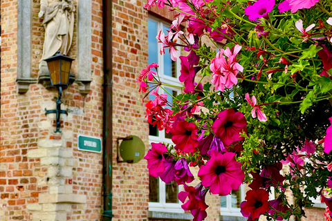 Bruges History Taxi - drive & walk tour (Choose pick up)