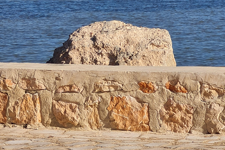 Djerba: Scooter tour of the island Full-day guided tour