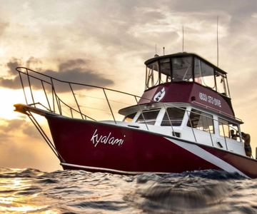 Palm Beach: Island Cruise on the Intracoastal