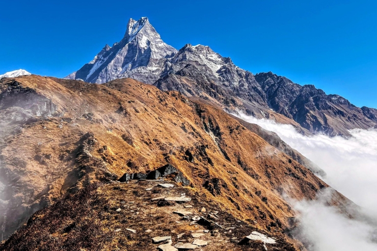 Pokhara: 4-dniowa wyprawa Mardi Himal