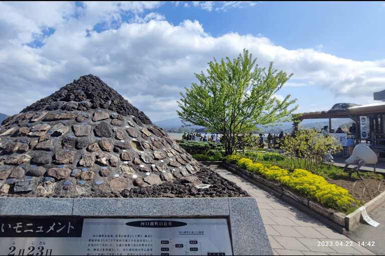 Tokyo: Monte Fuji, Pagoda Chureito, Lago Kawaguchi Tour in spagnolo