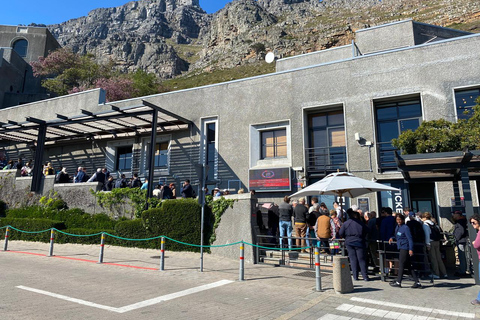 Le Cap : visite d&#039;une demi-journée à Table Mountain avec montée en téléphérique