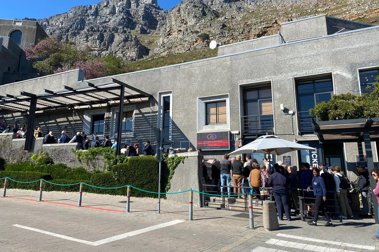 Città del Capo: Tour di mezza giornata della Table Mountain con giro in funivia