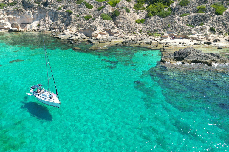 Palma: Private Sailing Boat Excursion with Optional Paella Full day - Boat 42 feet (Max 12 pax)