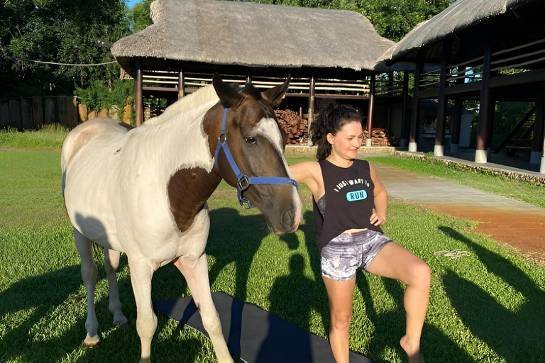 De Da Nang: Meio dia de passeio a cavalo e barco de coco - Hoi An.