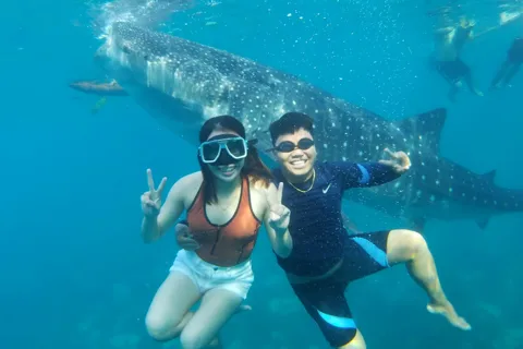 Cebu Whale Sharks Tumalog Falls Sumilon