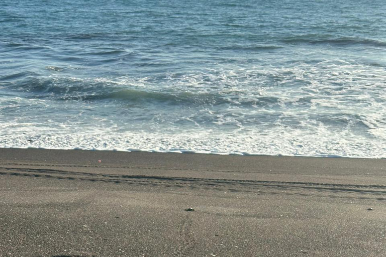 Monterrico Beach Day Experience from Guatemala city Monterrico Beach Day Experience from Antigua Guatemala