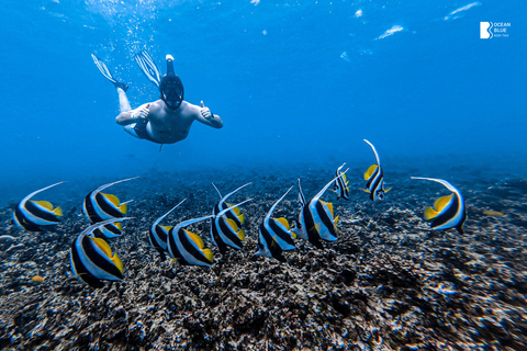 Koh Tao: Snorkel with Turtles at Nangyuan with Fewer Crowds