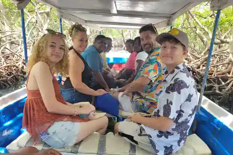 Roatan Mangrove Tunnel, wildlife encounter, food tasting