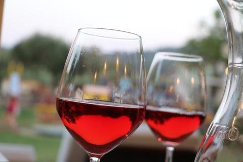 Corfu: Donkey Sanctuary and Farm Tour with Lunch Corfu: Donkey Sanctuary,Horse Riding,Farm Tour with Lunch