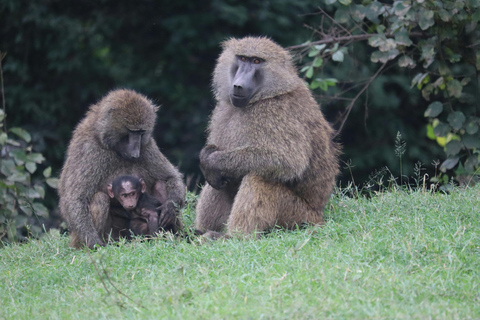 Nairobi: National Park, Karen Blixen Museum & Beads Safari