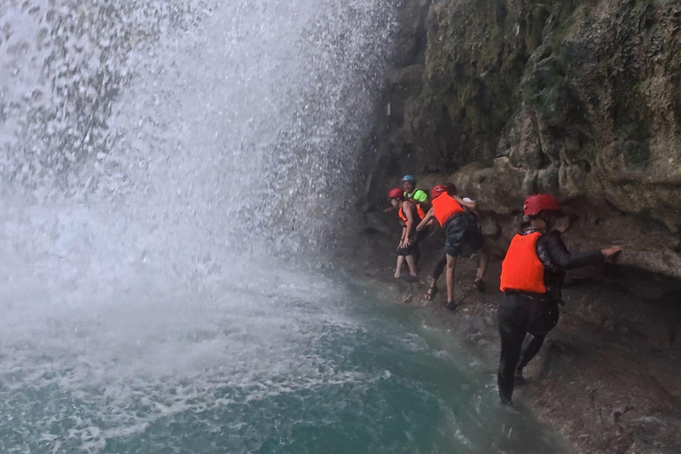 Cebu: Oslob valhajsskådning Canyoneering privat upphämtning