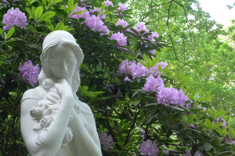 Ohlsdorf Cemetery: 1.5-hour individual guided tour