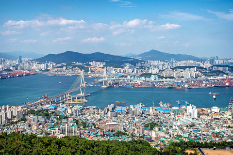 Busan Bongnaesan mountain 395m Morning Hiking Tour
