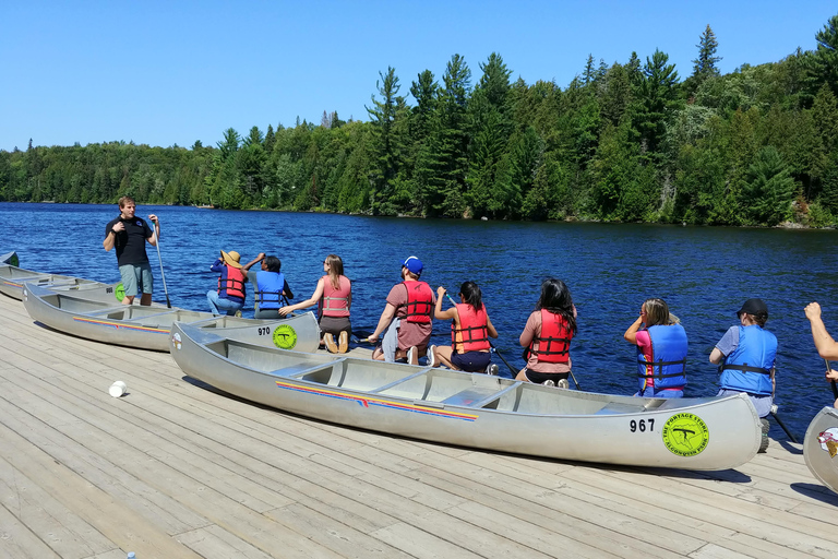 From Toronto: Algonquin Park Canoeing & Hiking Adventure