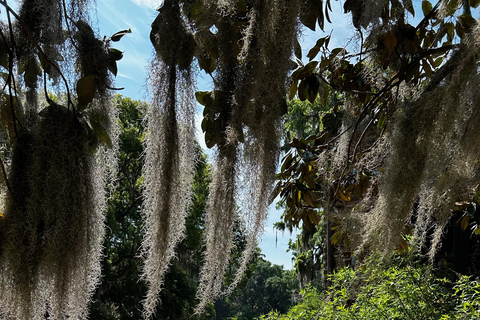 Charleston: Middleton Place Guided Tour with Lunch