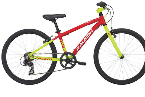 Full Day Family Bike Rental by Old Montreal & Lachine Canal