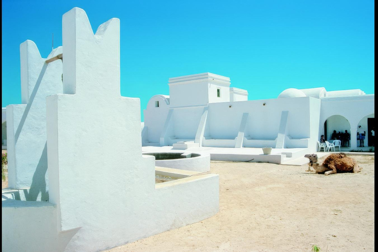 Djerba: proef een van de beste olijfolies en geniet van een typische lunch