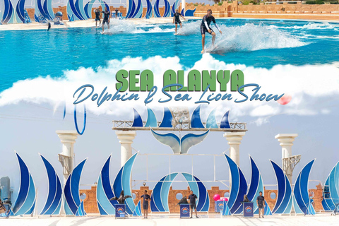 From Alanya/ Side: Dolphin Show Tickets with Hotel Transfer Transfer from Hotels