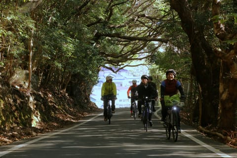Pacific Horizon and Coastal Secrets by E-Bike - Image 2
